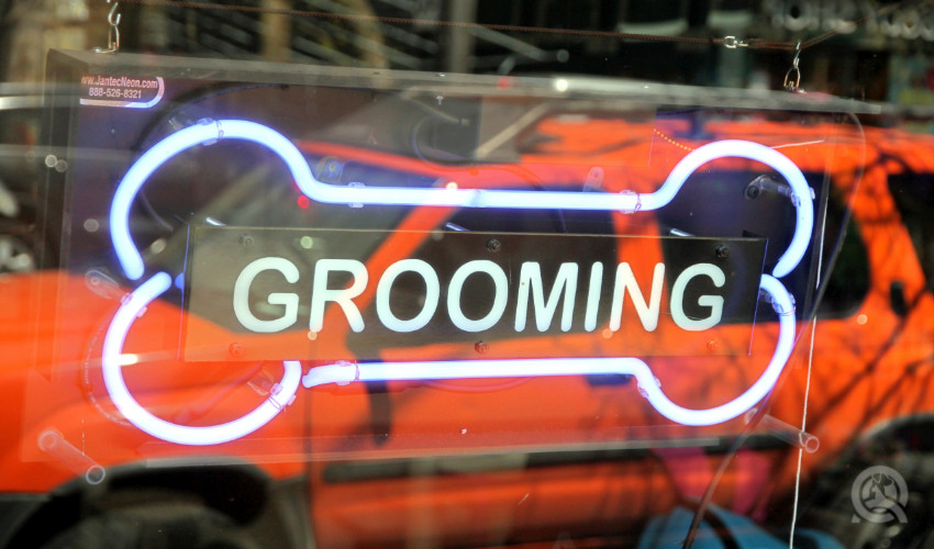 Example of a plain dog grooming logo and brand