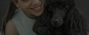 professional pet grooming service for poodles