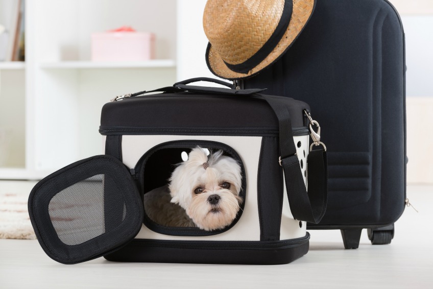 Dog travel bag or pet carrier