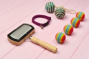 Pet accessory and dog accessory guide for christmas gift ideas