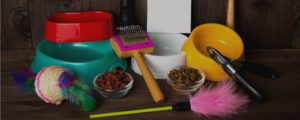 Learn to become a professional dog groomer with pet grooming courses online