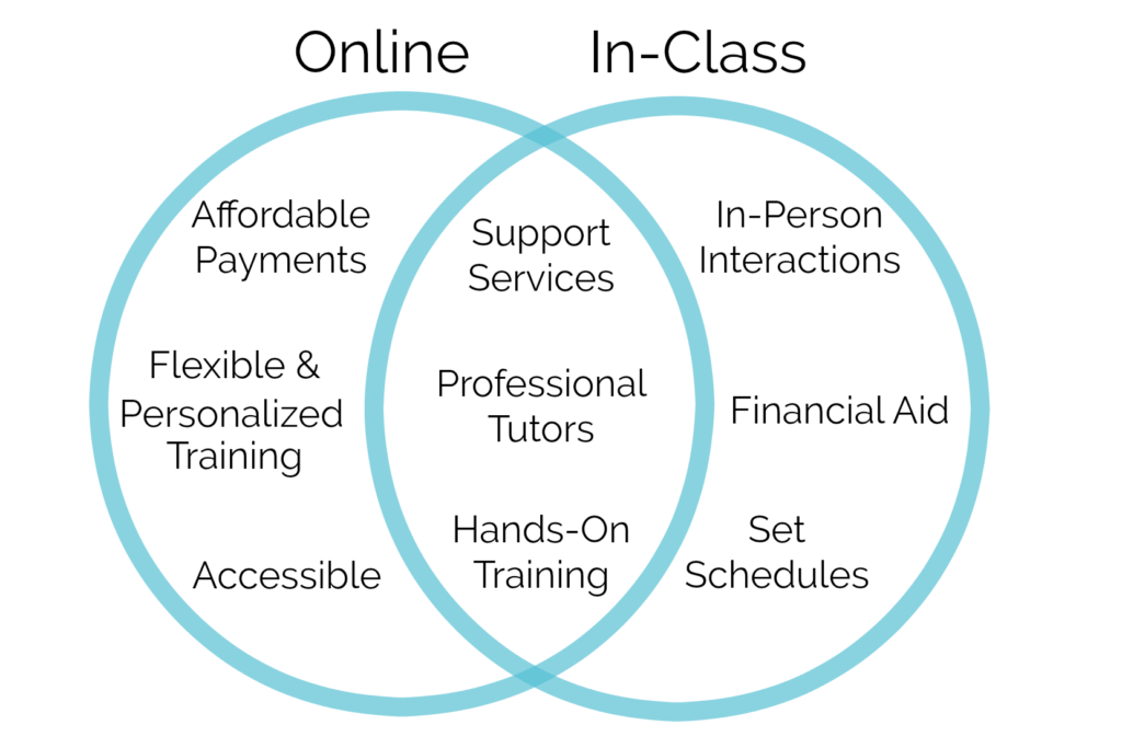 Dog Grooming Courses InClass vs. Online QC Pet Studies