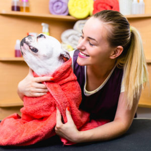 learn how to become a dog groomer with a pet grooming certification course