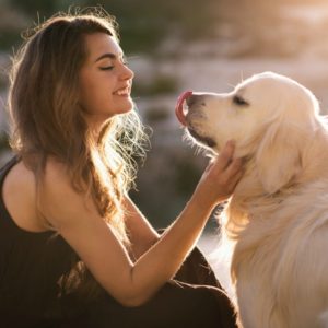 dog groomer petting golden retriever