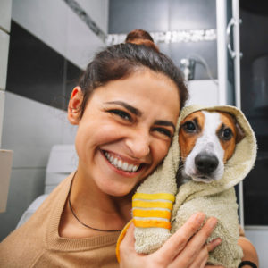 qc pet studies dog grooming in bath