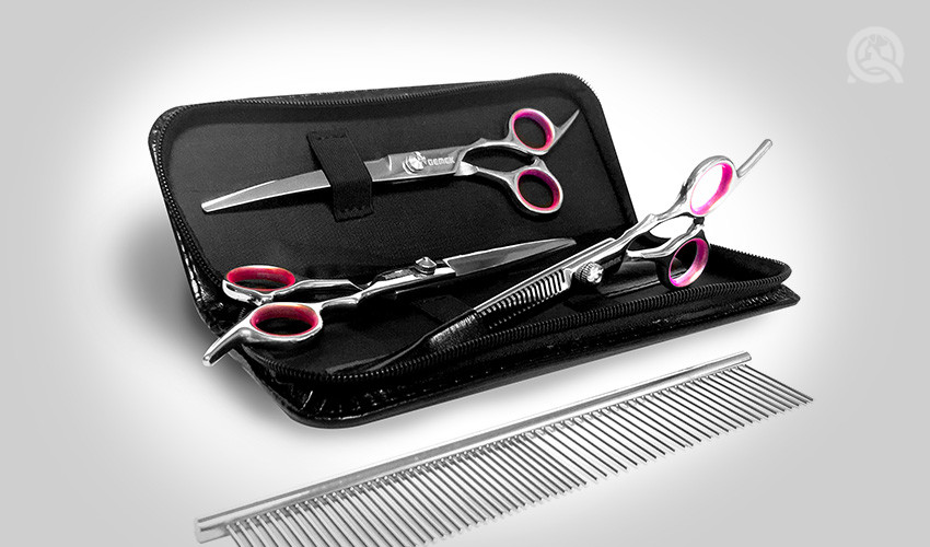 dog grooming kit scissors set for QC Pet Studies dog grooming course