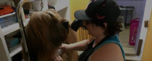 nicki hughes grooming a dog