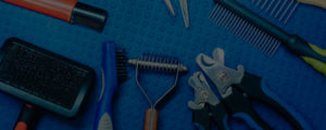 Learning About Your Dog Grooming Kit: Brushes, Combs, and Dematting Tools