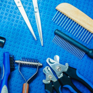Learning About Your Dog Grooming Kit: Brushes, Combs, and Dematting Tools