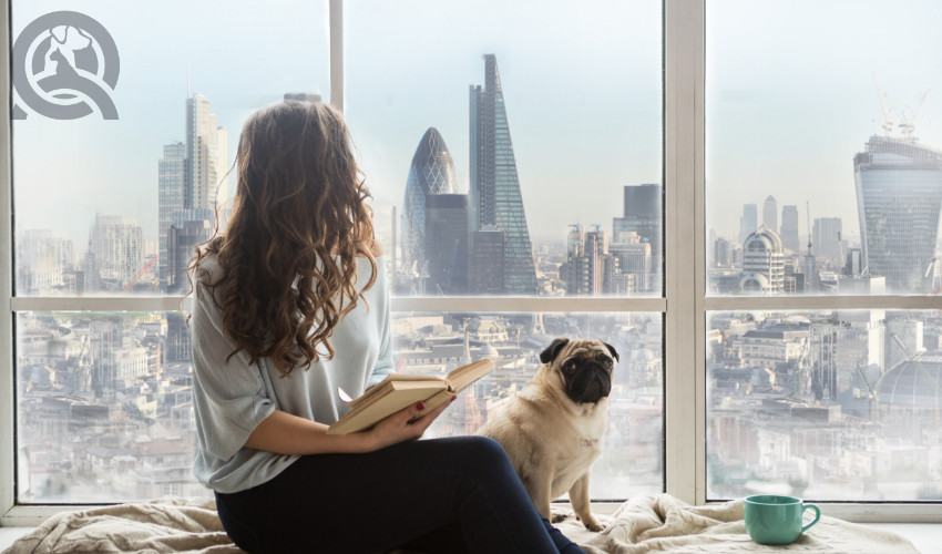 dog groomer living in London with her pet pug