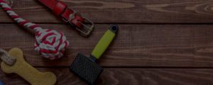 tools for your dog grooming kit