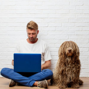 aspiring dog groomer researching professional pet grooming schools online with his dog