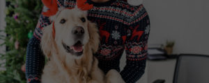 holiday gift guide for dogs and dog owners