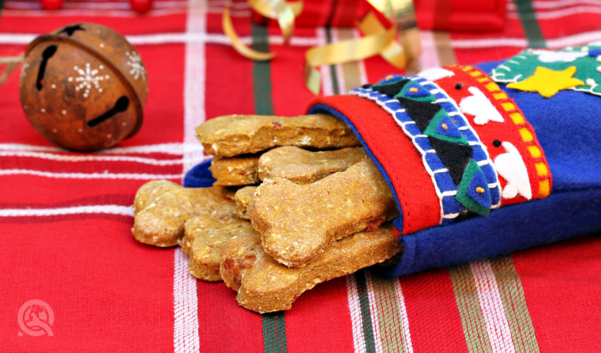 homemade dog treats are great stocking stuffers for dogs