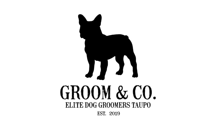 Katie Harris Groom & Co. dog grooming business