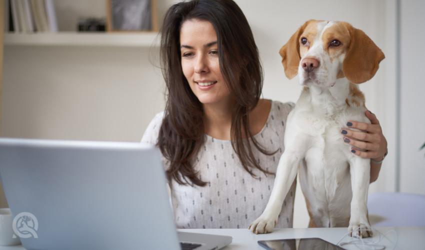 dog and owner on computer