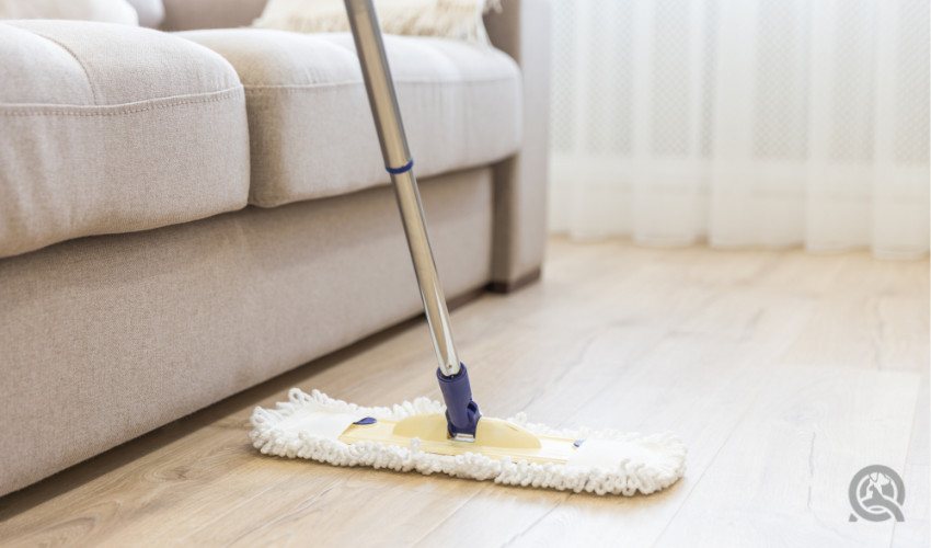 mopping floors to get rid of pet fur, dander, and pet odors
