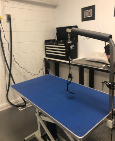 dog grooming table with noose of Casey Bechard, professional dog groomer