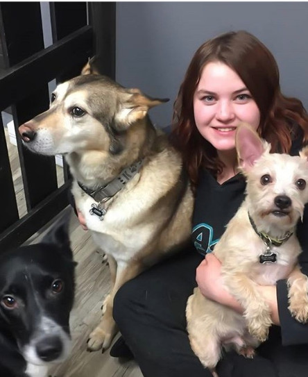graduate feature - melody mason with 3 groomed dogs