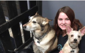 Pet Studies Graduate Melody Mason with two groomed dogs