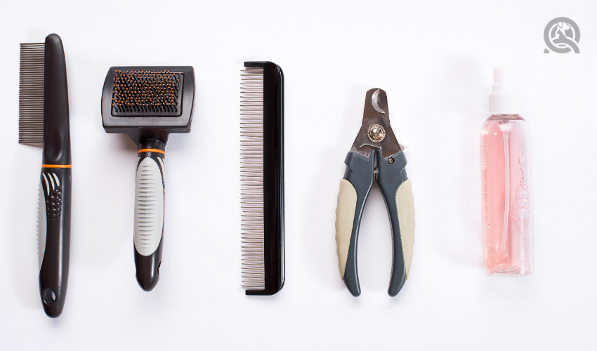 dog grooming combs and scissors
