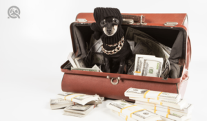 dog dressed as robber sitting in a suitcase full of money