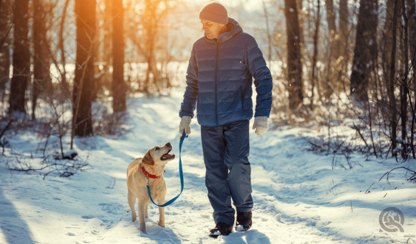 man walking his happy dog in the snow