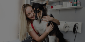 female groomer hugging scared collie - with dark overlay