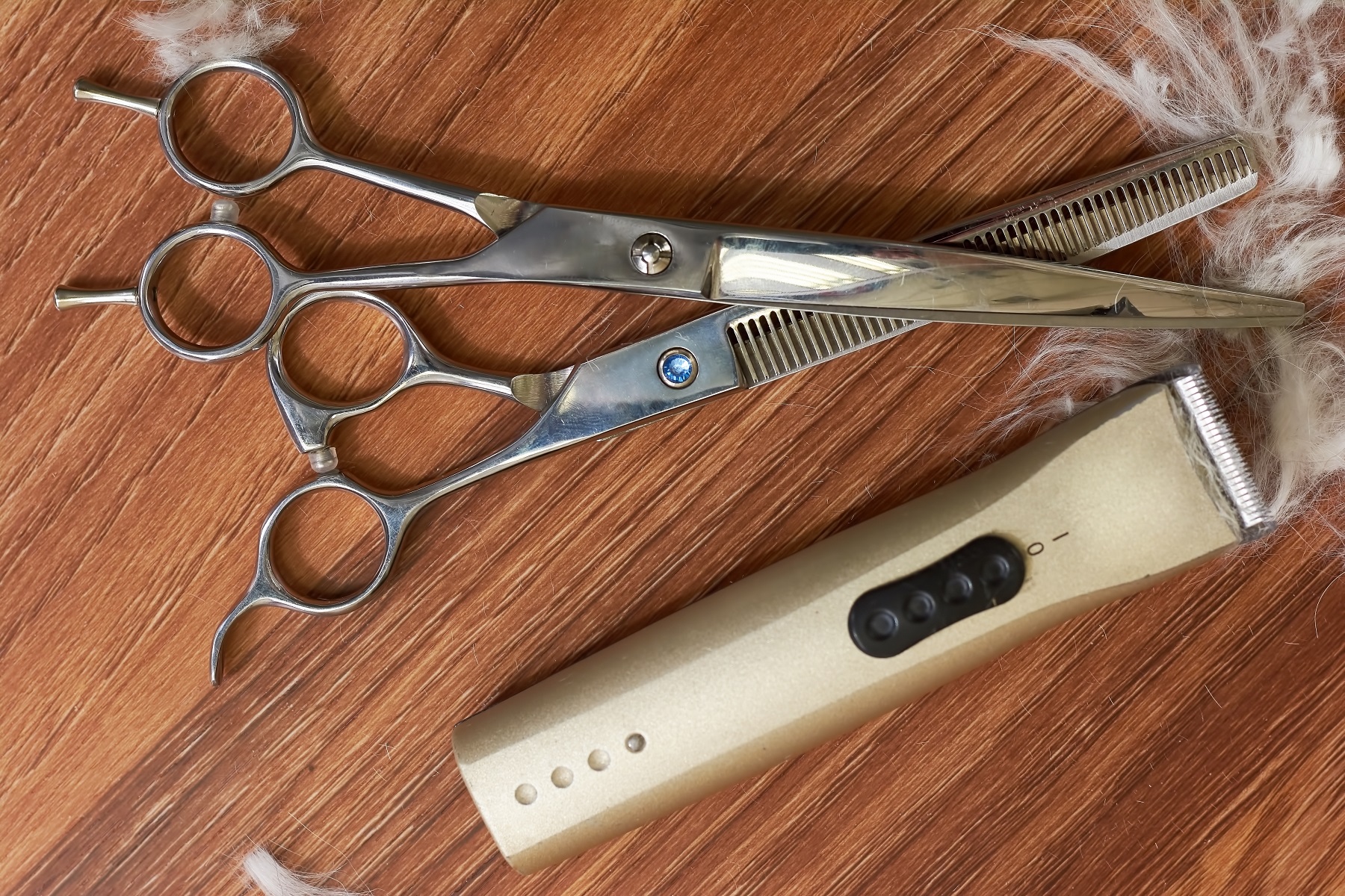 Dog grooming clippers & shears