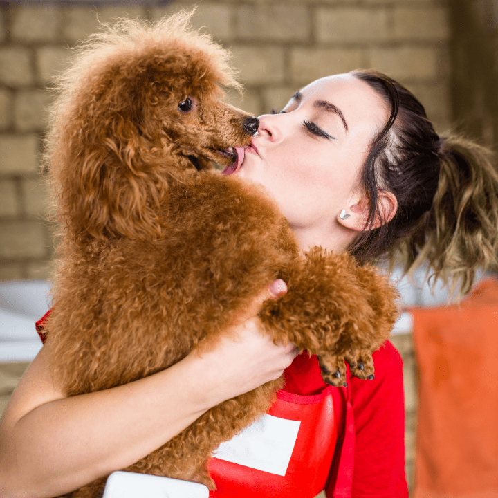 How Long Does It Take to Become a Dog Groomer? - QC Pet Studies