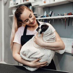self-employed dog groomer holding boston terrier after bath