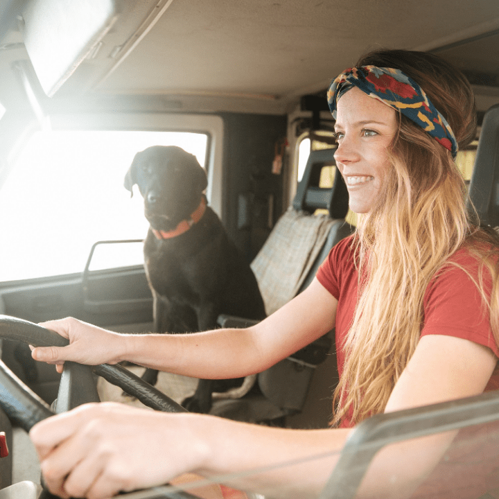 woman's dog grooming career - driving in van with black lab in passenger seat