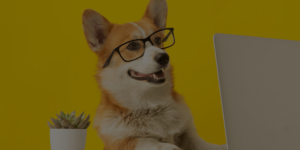 QC Pet Studies corgi wearing glasses, sitting at table and looking at laptop, with black overlay