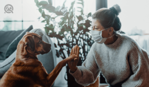 woman wearing face mask and high-fiving dog at home