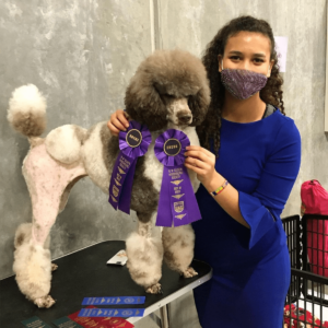 dog grooming must-haves article camille mar 12 2021 headshot