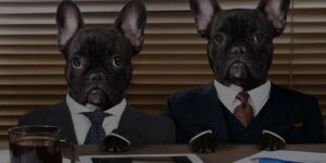Dog grooming interview questions article Header Image