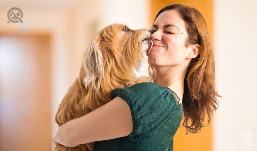 Woman holding dog, dog licking her face