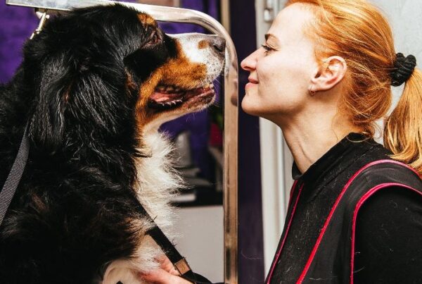 Dog grooming school near me article, July 16 2021, Feature Image