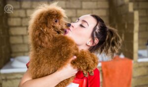 Get clients as a dog groomer in-post image 1