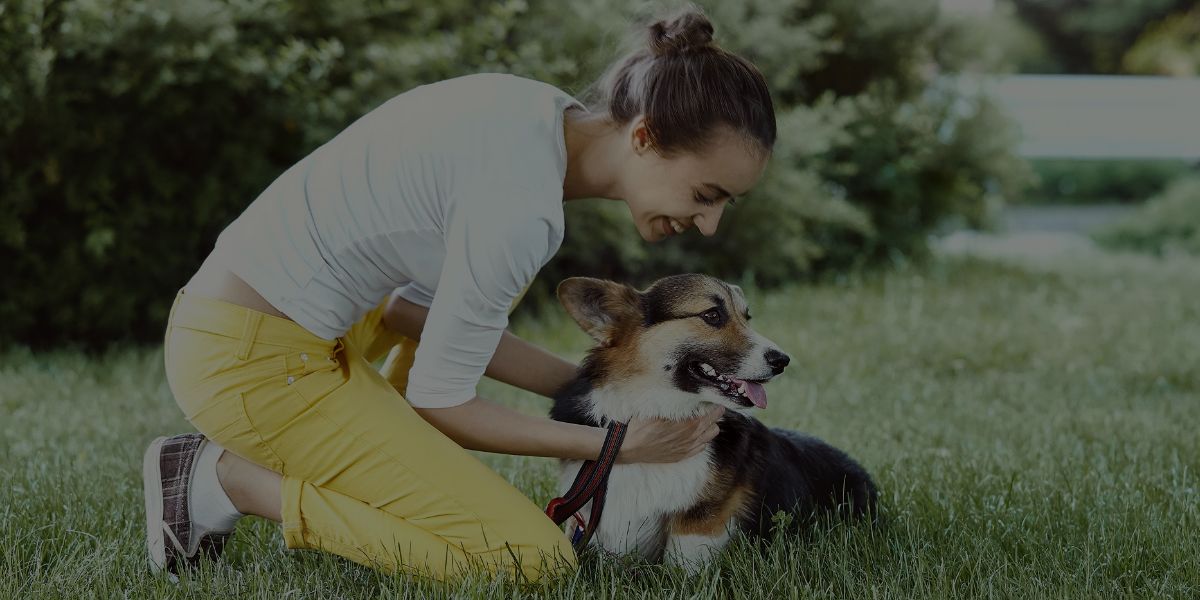 The 30 Best Tools To Grow Your Dog Training Business