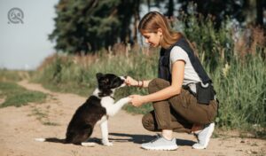 Tools to grow your dog training business in-post image 3