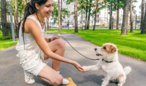 Young Woman and Dog Shaking Hands at Summer Park Alley. Human and Pets Best Friends Concept