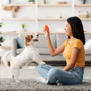 How much does it cost to start a dog training business Feature Image