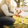 How to boost revenue for your dog training business Feature Image