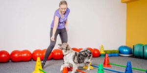 Dog training in the fitness club. Naming your business article.