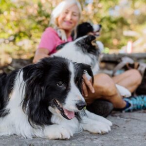 Dog trainer career Feature Image