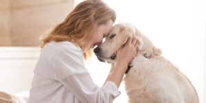 Young pretty woman in casual clothes hugging her beloved big white dog sitting on the sofa in the living room of her cozy country house. Animal communication concept. Dog training course article.