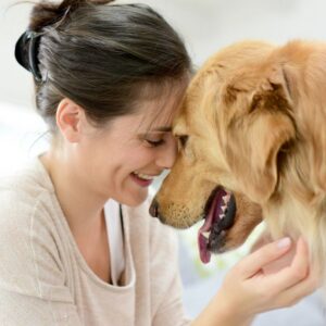 Skills you need to become a dog trainer Feature Image