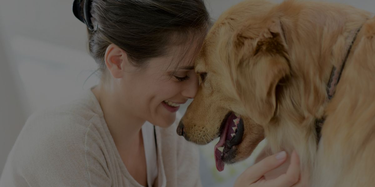 The 20 Skills You Need To Become a Dog Trainer