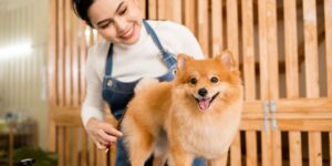 New Year's resolutions for your dog grooming business in-post image 1